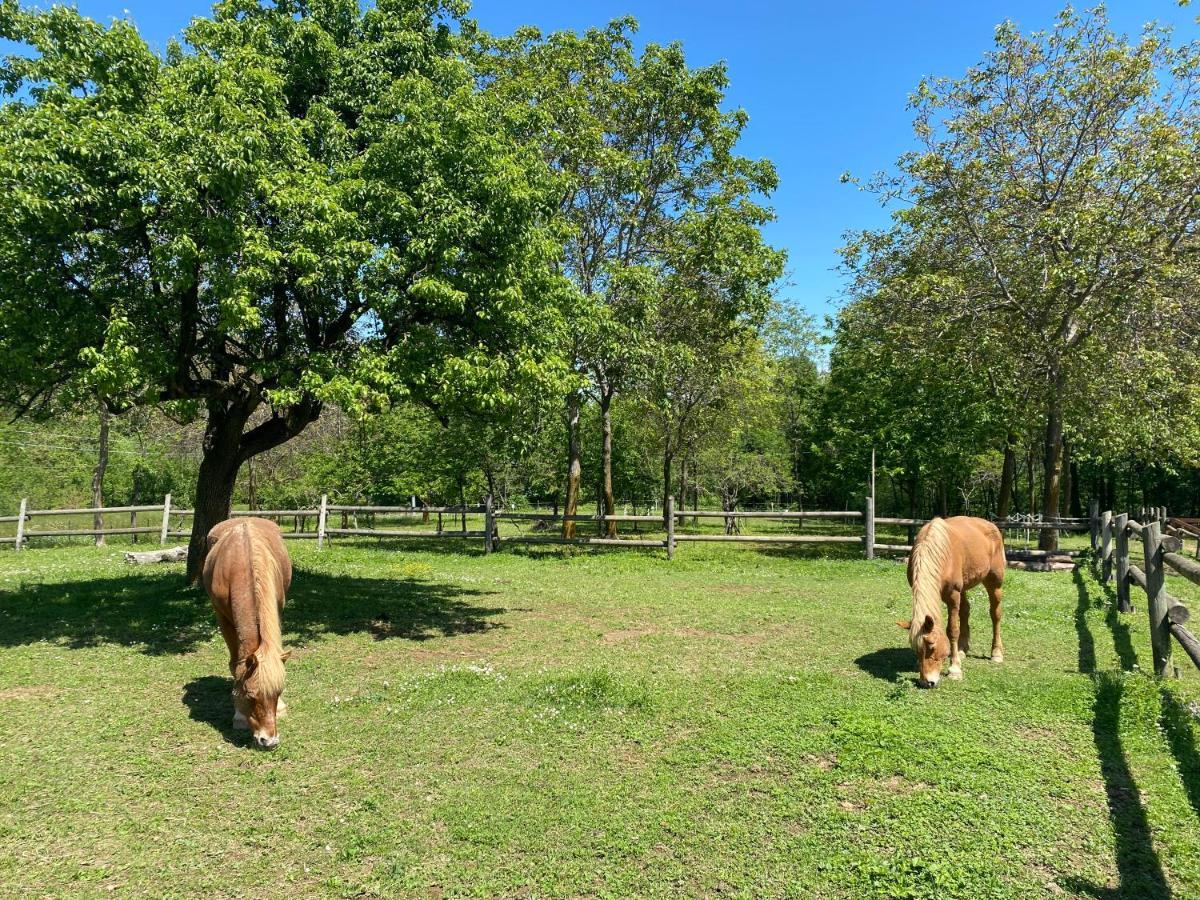 Apartmán Ranch Enbruca Boves Exteriér fotografie