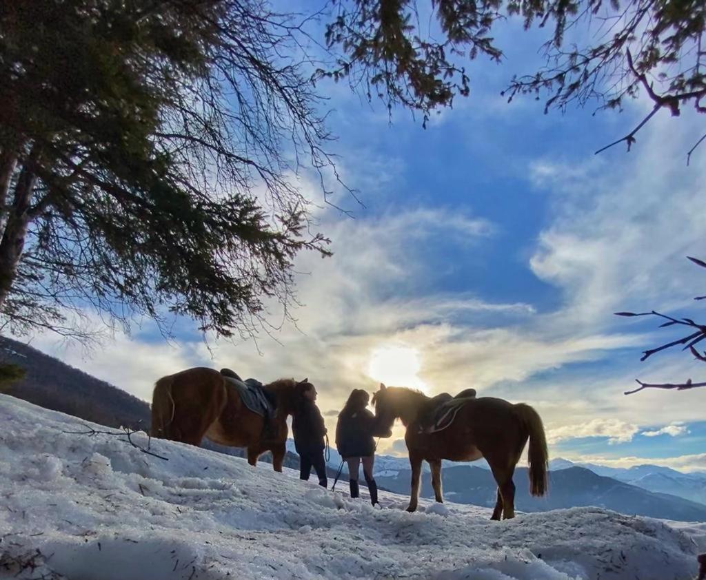 Apartmán Ranch Enbruca Boves Exteriér fotografie