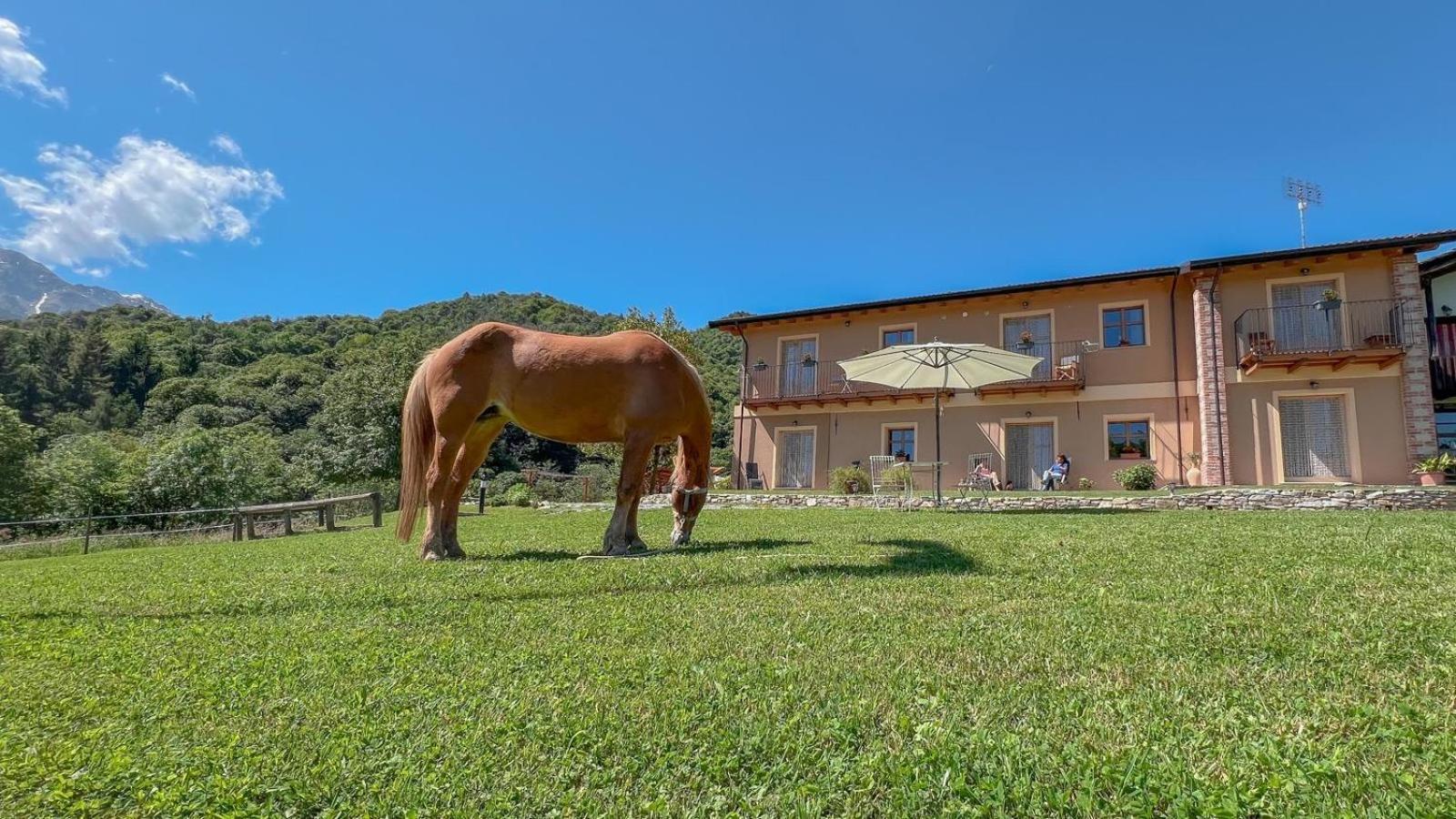 Apartmán Ranch Enbruca Boves Exteriér fotografie
